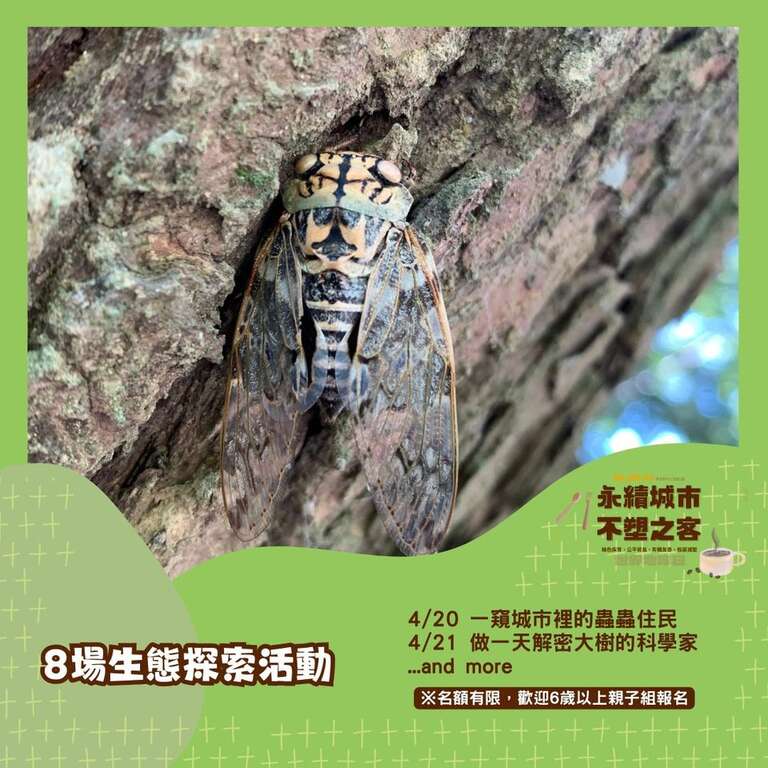生态探索活动(图片来源：台北市政府客家事务委员会)