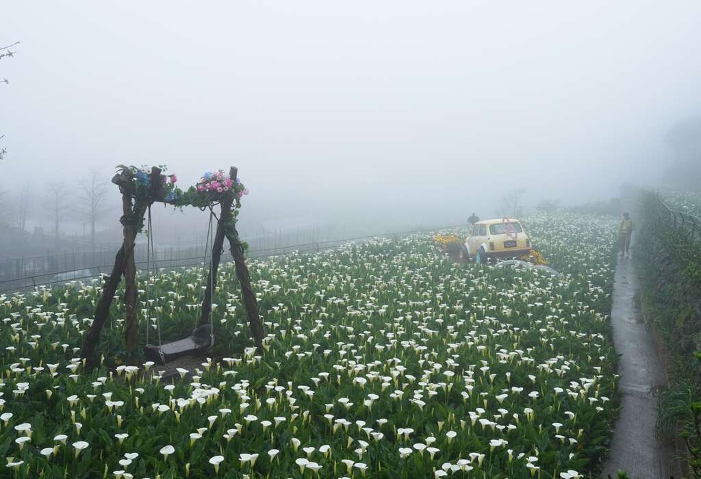 霧中仙氣的名陽匍(圖片來源：臺北市政府產業發展局)