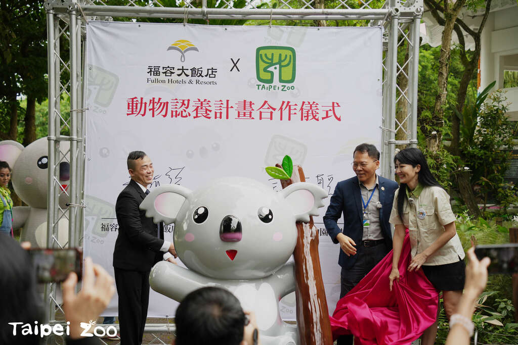 422福容台北二馆以无尾熊「芙蓉」之名与动物园结缘，从认养「芙蓉」出发，一起投入无尾熊保育行列(图片来源：台北市立动物园)