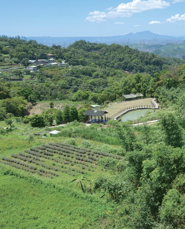 在貓空漫遊可見優美山景及農家茶園風光。（攝影／李智為）