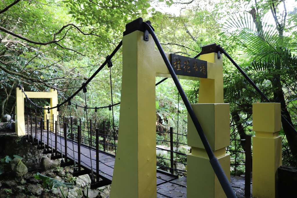 南港桂花林步道的桂花吊橋(圖片來源：臺北市政府工務局大地工程處)