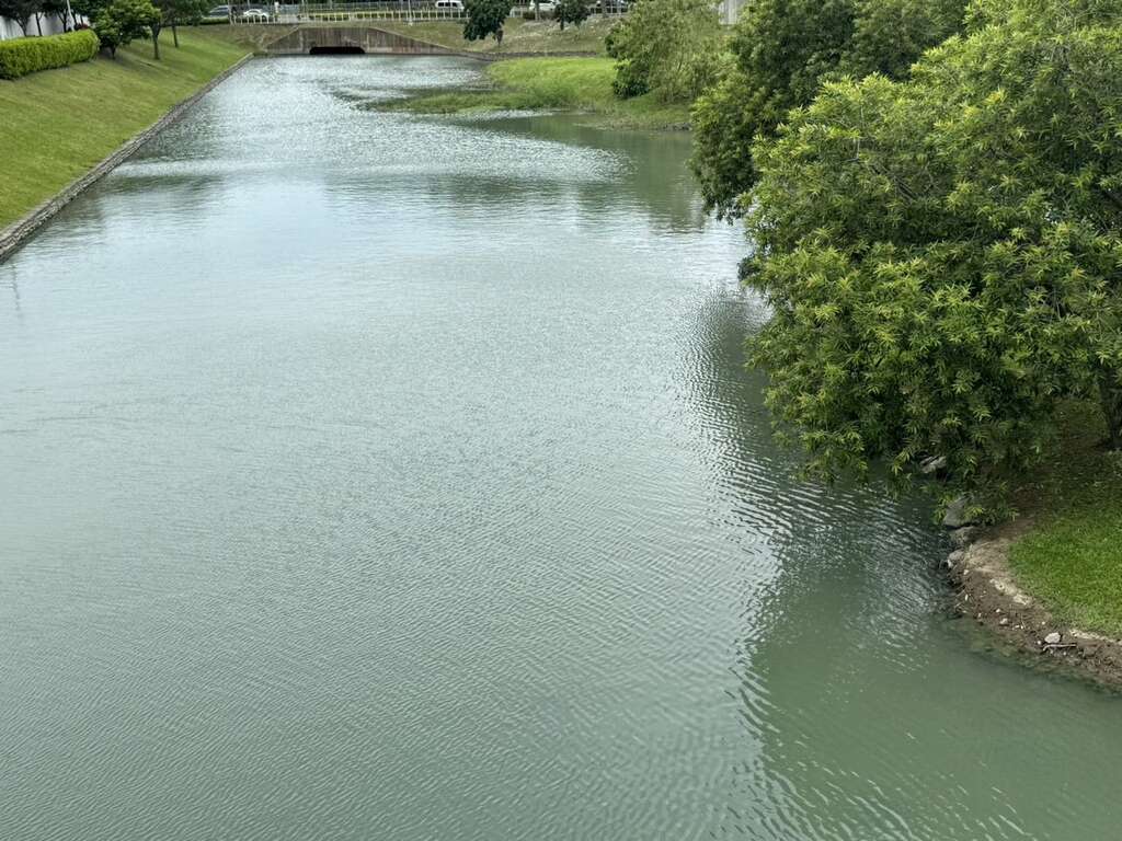 波光粼粼宁静的湿地(图片来源：台北市政府工务局公园路灯工程管理处)