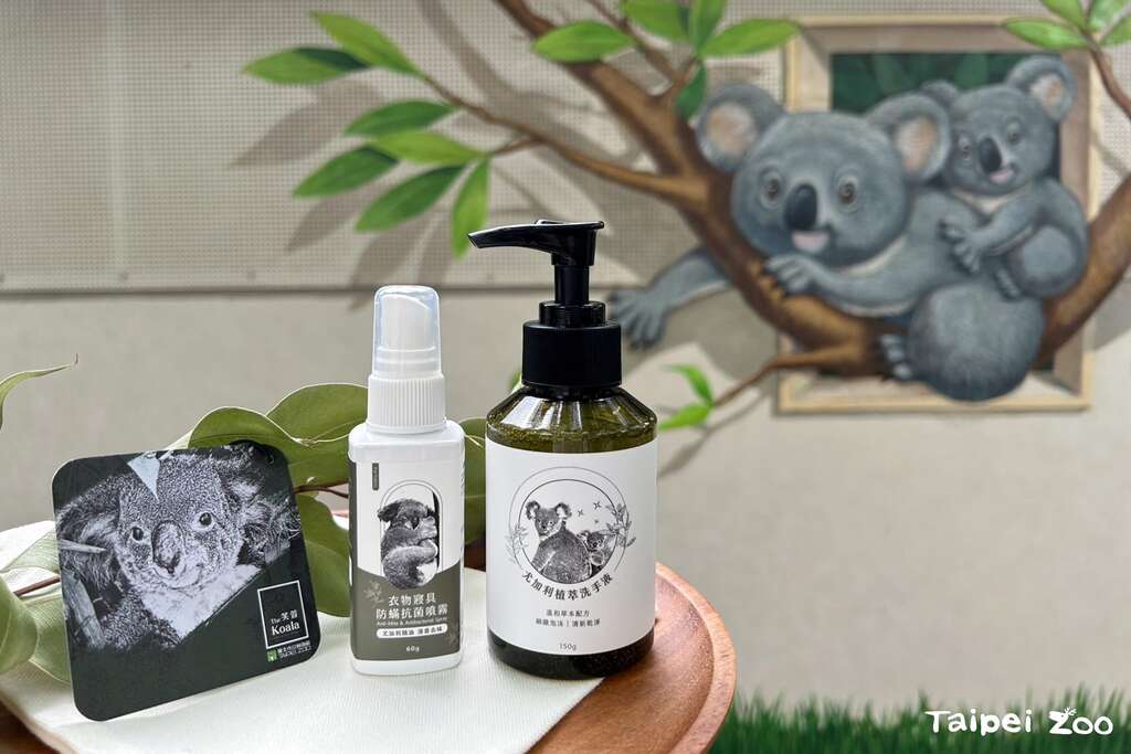 在與木酢達人合作下，我們將無尾熊食餘桉樹葉加以萃取，得到無尾熊館特有的桉樹精油！再將這些精油加工製成現在的防螨抗菌噴霧與洗手乳產品喔！(圖片來源：臺北市立動物園)