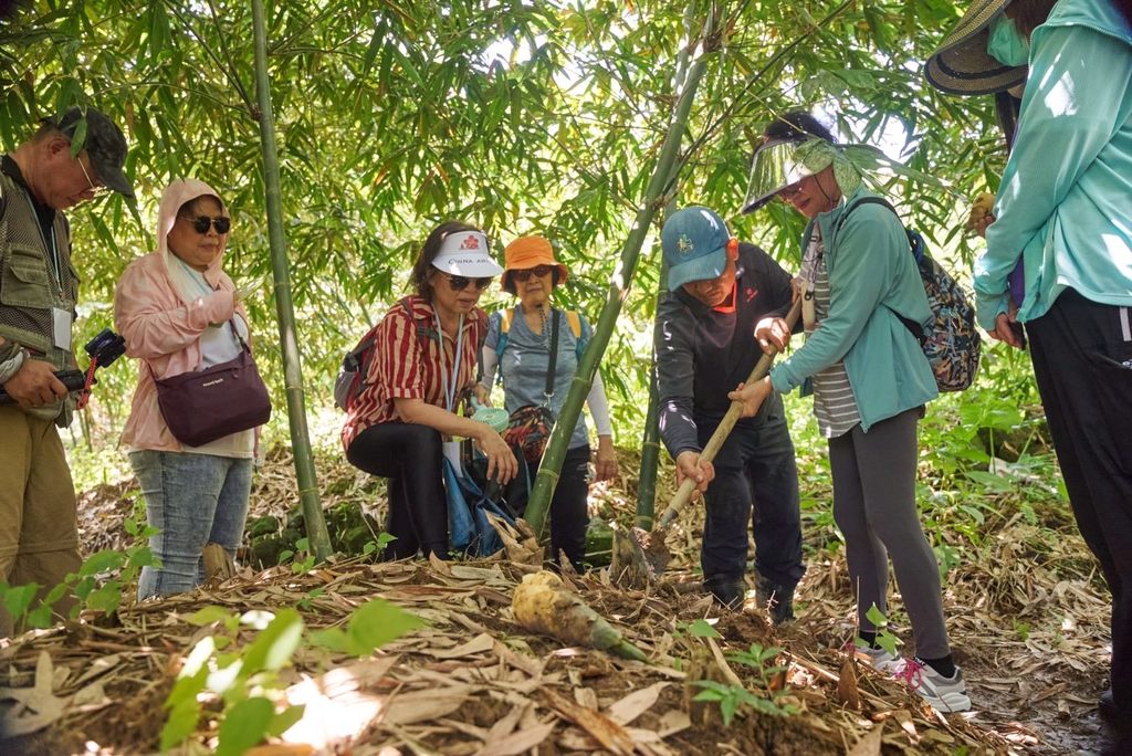 参与民众依循笋农教授的采笋技巧，亲手挖出鲜嫩竹笋。(图片来源：台北市政府观光传播局)
