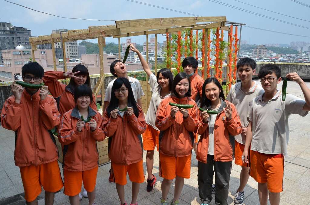 南湖高中学生采收小黄瓜、空心菜、小蕃茄等蔬果，也让老师及家人分享喜悦。（图／台北市教育局提供）