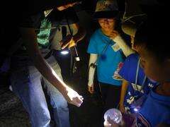 夜晚裡我們的一舉一動都要很小心，不要打擾動物們的聚會喔