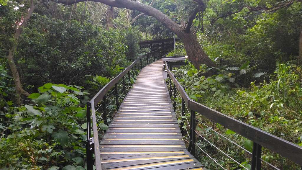 圖4. 高架棧道
