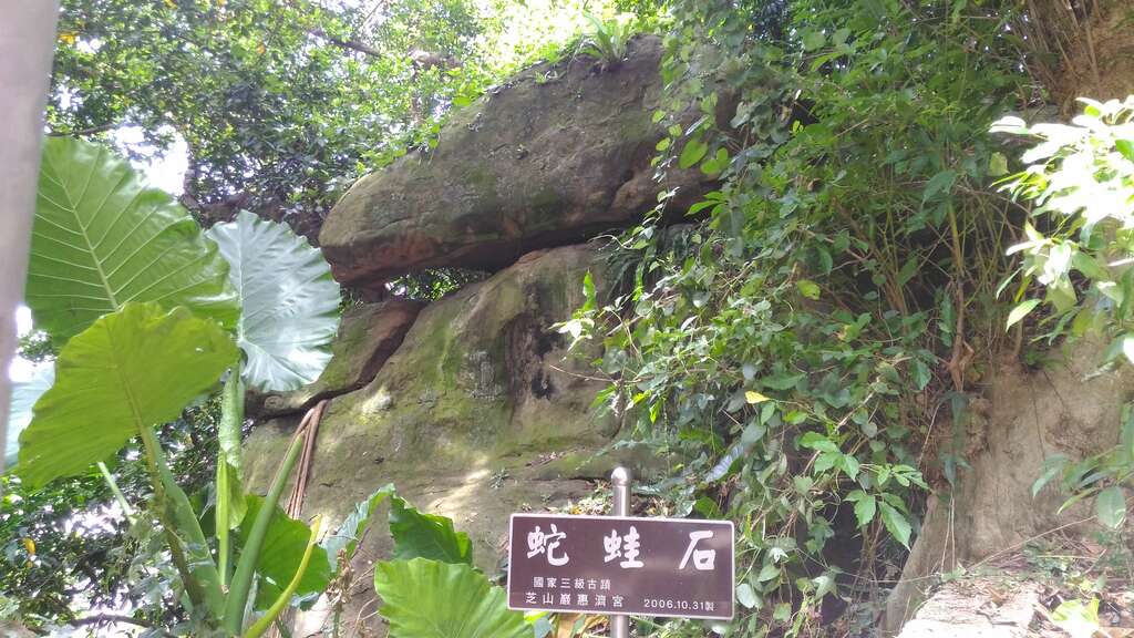 圖11.蛇蛙石