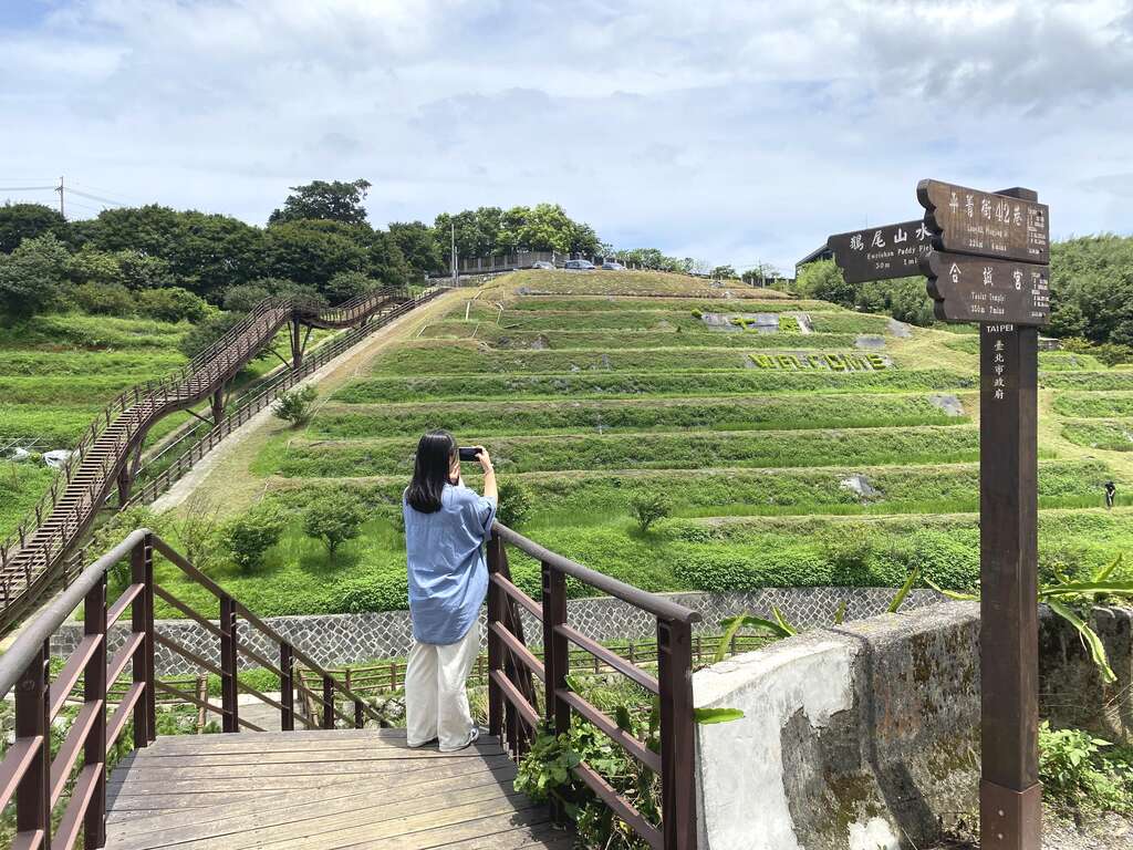 平等社區的「稻浪棧橋」佇立在一片水梯田中(圖片來源：臺北市政府工務局大地工程處)