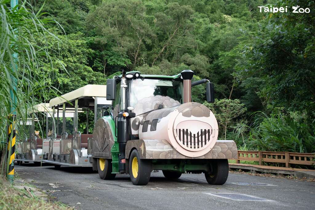 Night FUN Adventure Train