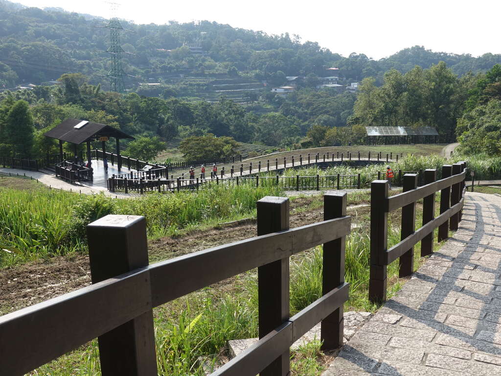 照片9　 樟樹步道