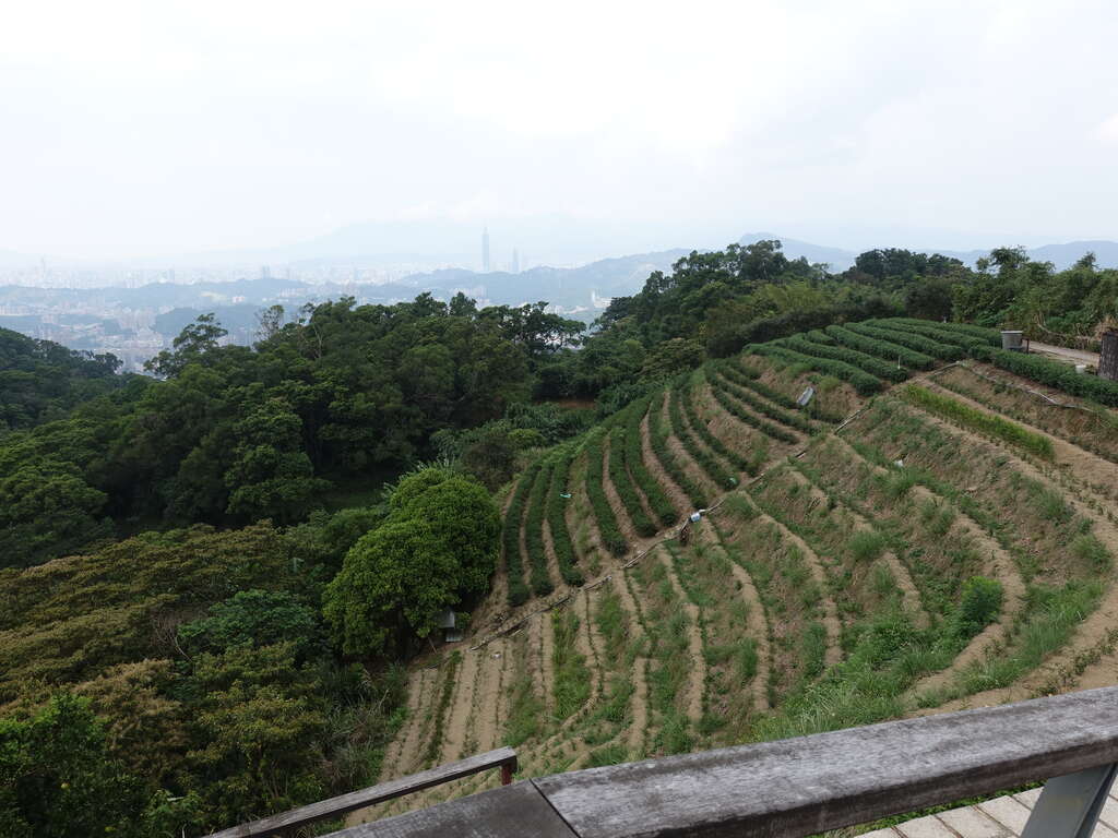 照片11 樟湖步道好風景