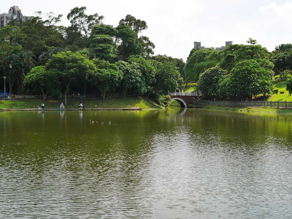 图1.湖光山色的南港公园