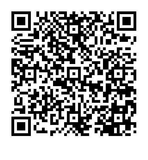 100QR_opt.jpg