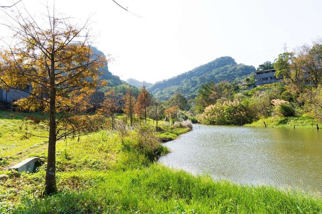 永春陂濕地公園-生態豐富的濕地公園(圖片來源：臺北市政府工務局公園路燈工程管理處)