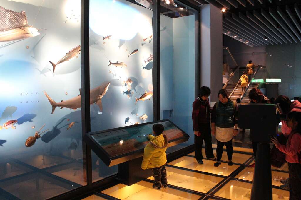 國立海洋科技博物館主題館以海洋為中心推廣展示教育(圖片來源：臺北市立動物園)