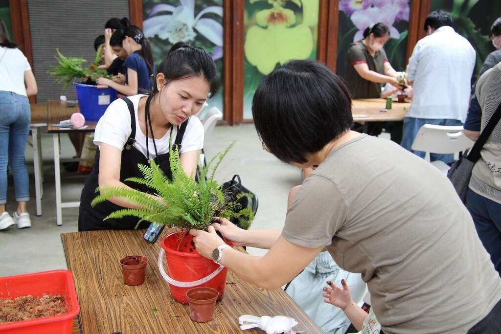 大家都挑了喜欢的盆栽开始制作！(图片来源：台北市政府工务局公园路灯工程管理处)