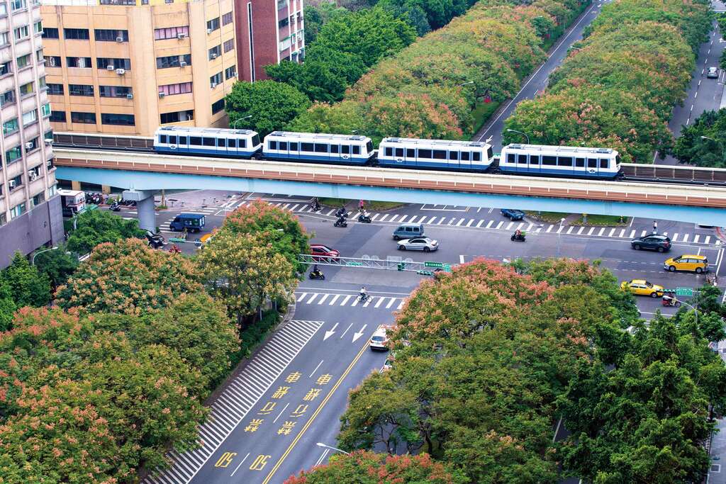 G3-3_1041019敦化南路栾树_潘俊霖摄 (12.jpg