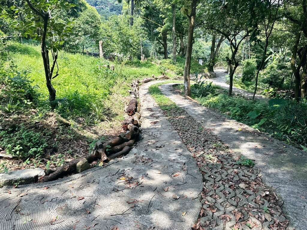 水土保持茶園步道(圖片來源：臺北市政府工務局大地工程處)