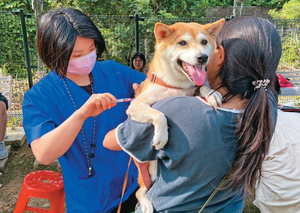 P46_城市指南_動保月@台北市動物保護處