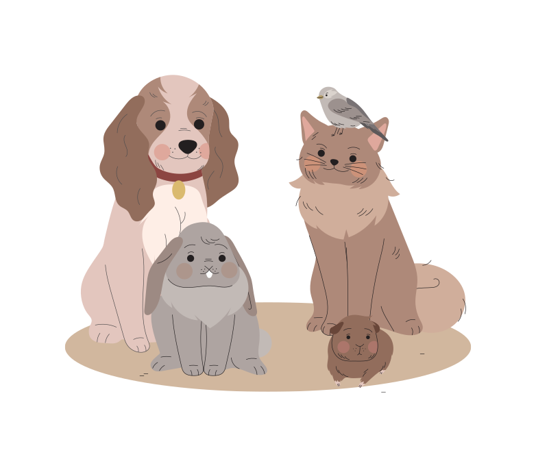 動物