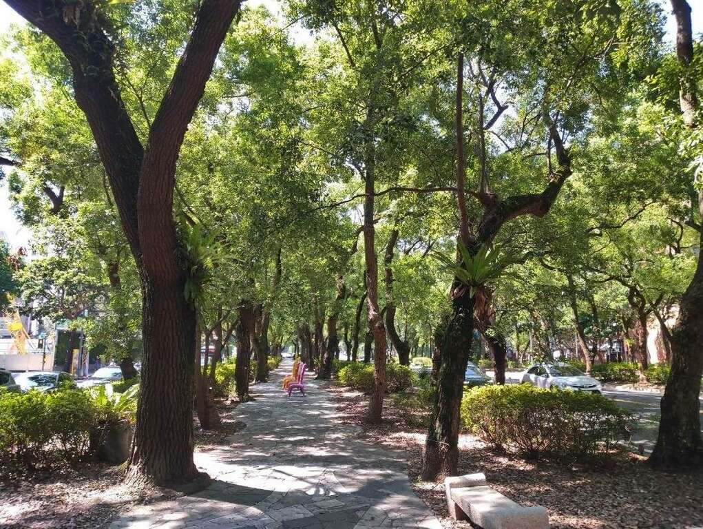 樹木成蔭成為市民最喜愛道路，濃密的林木，既降低了噪音、減少了塵埃，更成為市民休閑生活、舒緩身心的最佳的場所(圖片來源：臺北市政府工務局公園路燈工程管理處)