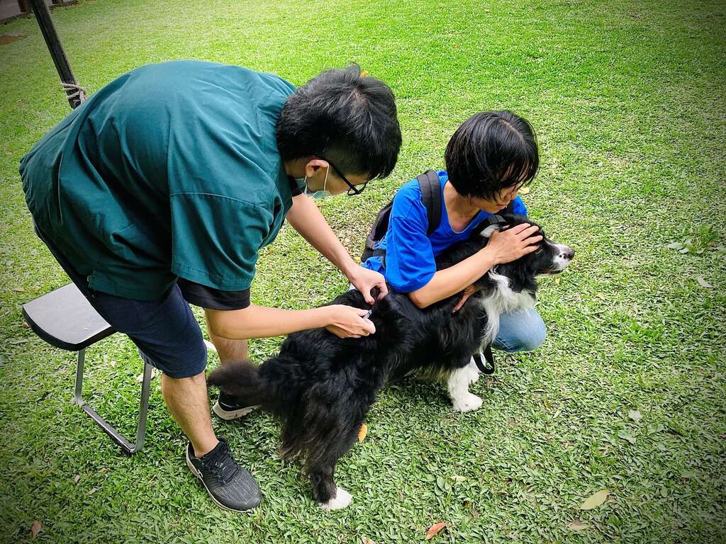 动保处提醒毛爸妈每年为家中犬猫完成狂犬病疫苗补强(图片来源：台北市动物保护处)