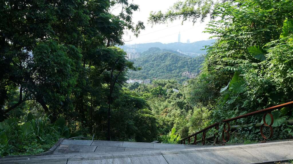 白天的竹柏參道登高望遠，風景秀麗，遠眺臺北101。(圖片來源：臺北市政府工務局大地工程處)