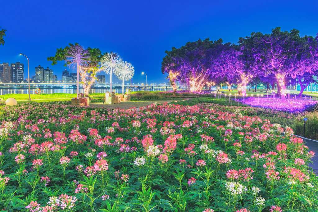 延平河滨花海 草地上铺设紫蓝色系的草网灯增加夜间浪漫氛围(图片来源：台北市政府工务局水利工程处)