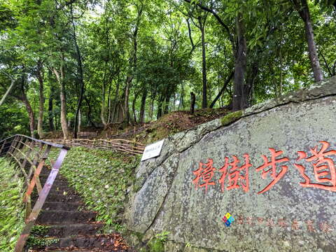 Maokong Zhangshu Trail