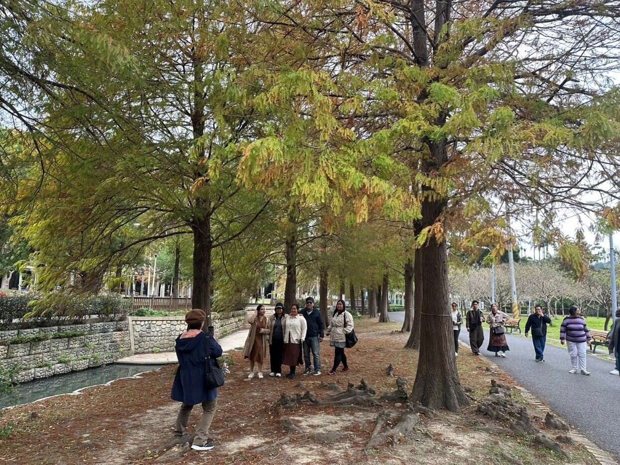 在刚转色落羽松树下，欣赏着呼吸根，悠闲自在的欣赏美景(图片来源：台北市政府工务局公园路灯工程管理处)