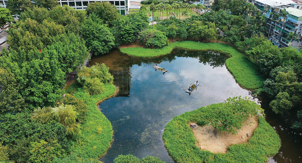松山文創園區的生態池呼應「保育及增設生態領地」永續發展目標