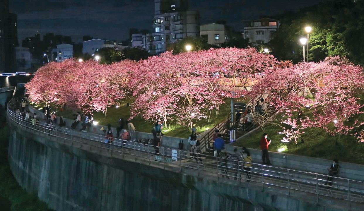 樂活夜櫻季P42-44_城市指南_春遊台北繁花盛宴 -2@台北市工務局公園路燈工程管理處