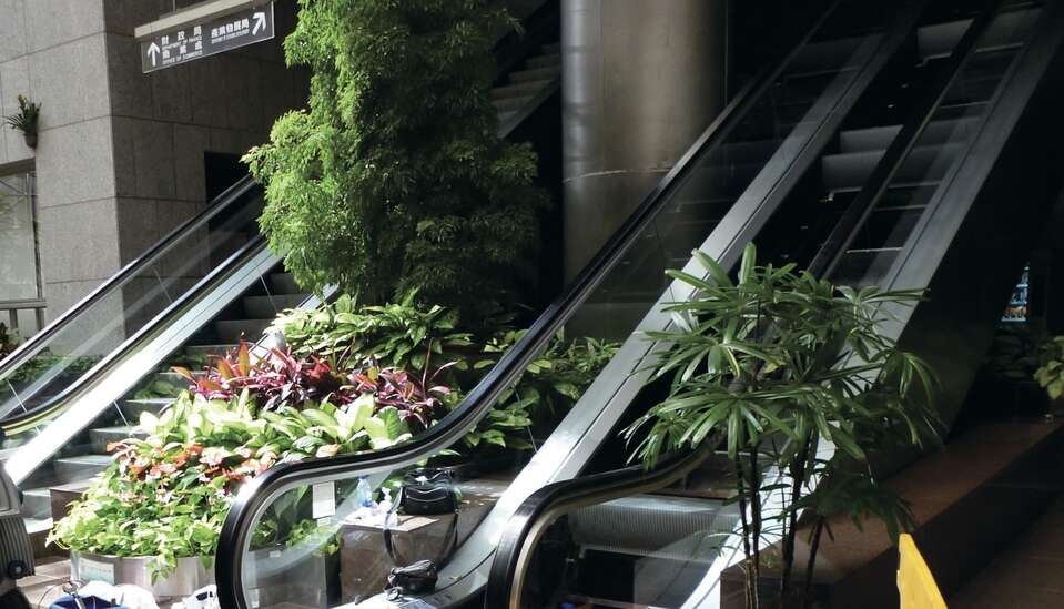 市政大樓大廳兩旁的手扶梯也設定怠速,感應到有人通過才會加速運作 市政大樓大廳兩旁的手扶梯也設定怠速,感應到有人通過才會加速運作