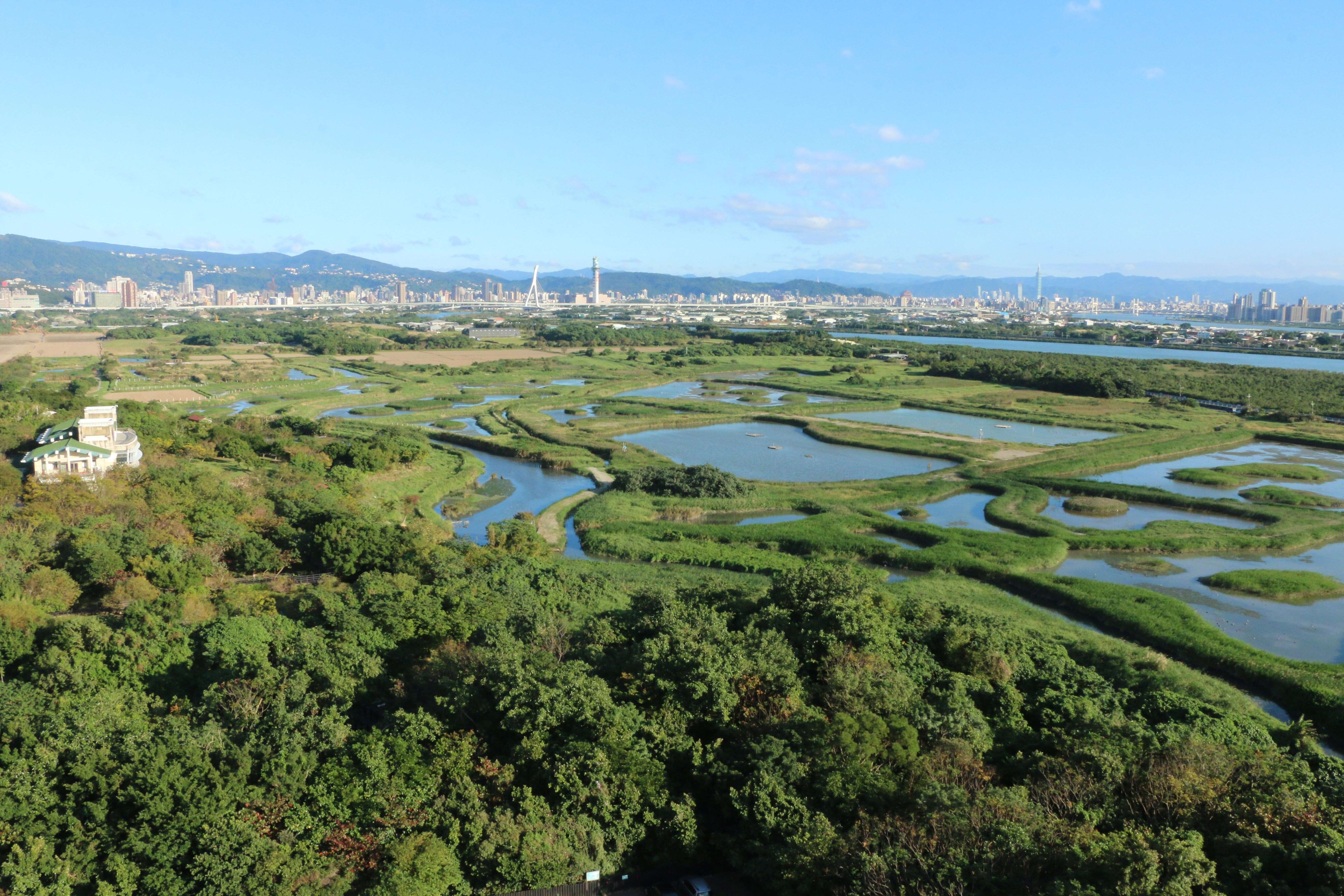 關渡自然公園是星級濕地教育活動中心(圖片來源：臺北市動物保護處)