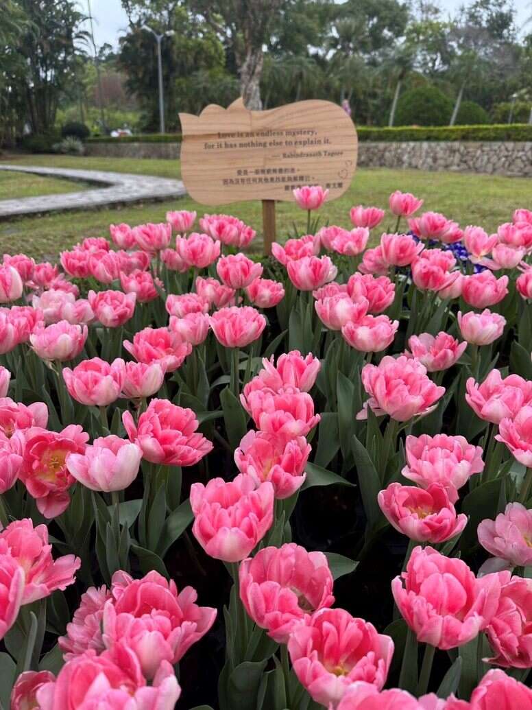 「詩情花意」展區除了有異國風情的鬱金香花園，還有蘊含深刻智慧與哲理的名言佳句可以閱讀，分享給你的朋友(圖片來源：臺北市政府工務局公園路燈工程管理處)