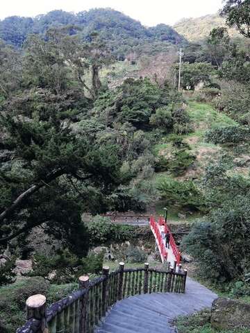 茶香环状步道环境清幽、绿意盎然，沿途可享受大自然负离子的洗礼。