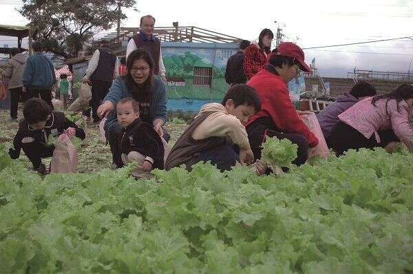 田園樂活趣