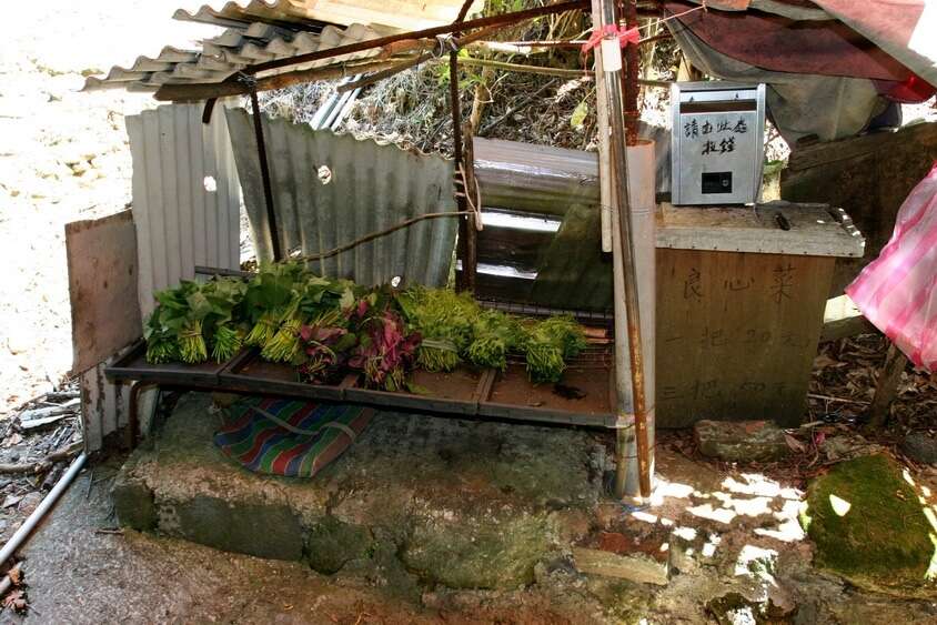 離竹子湖甚近的一區，搭有簡單小寮一間，賣著自行投錢的「良心菜」。（劉克襄攝）