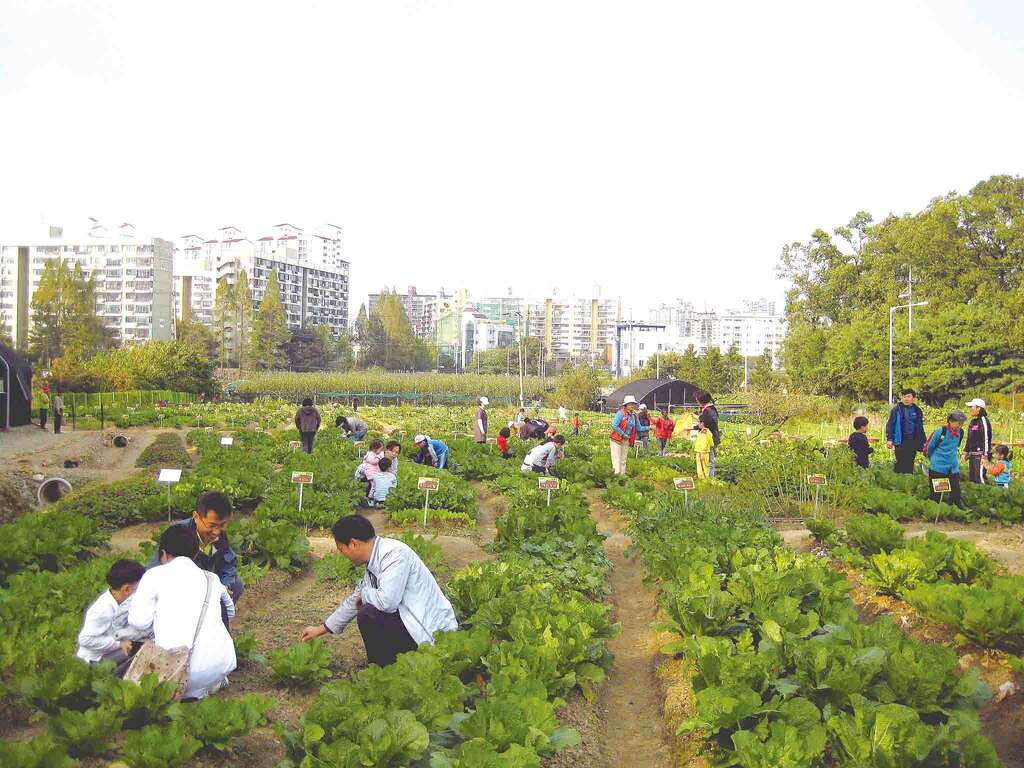 Urban farm_Gangdong_Korea_E.jpg