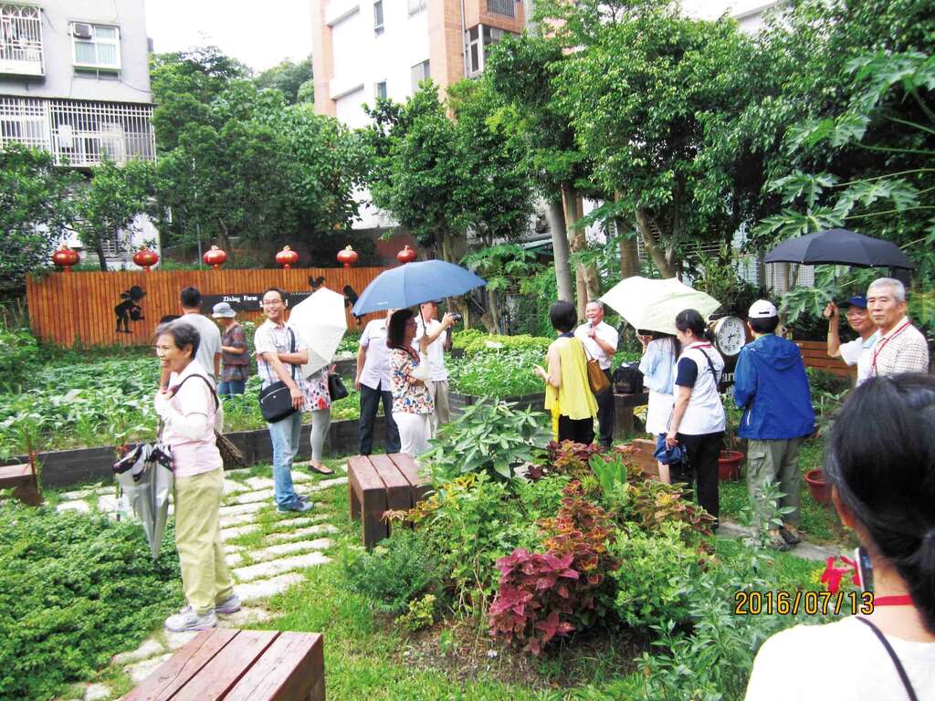 内湖区的民众不畏炎热，前往紫星农园等地实地勘察。（吴荣元摄，台北市政府民政局提供）