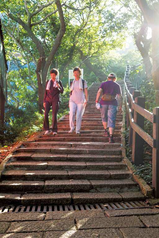 漫步於綠蔭環繞的象山親山步道，暑氣全消。（施純泰攝）