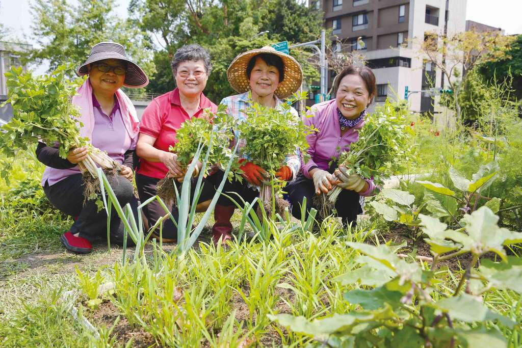 台北市では多くの市民がコミュニティー内の空き地を利用して野菜を栽培し、心と体を満足させています