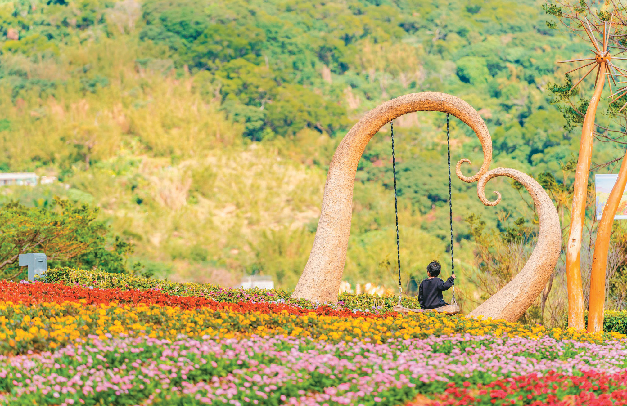 在交织各色花卉的三层崎花海中与装置地景留影，记录置身「彩色浪花海」的回忆P32-35写真 -1@台北市工务局公园路灯工程管理处