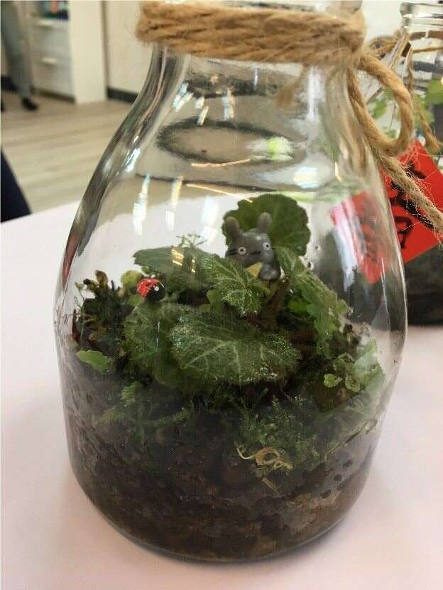 植物景色生態瓶(圖片來源：臺北市政府工務局公園路燈工程管理處)