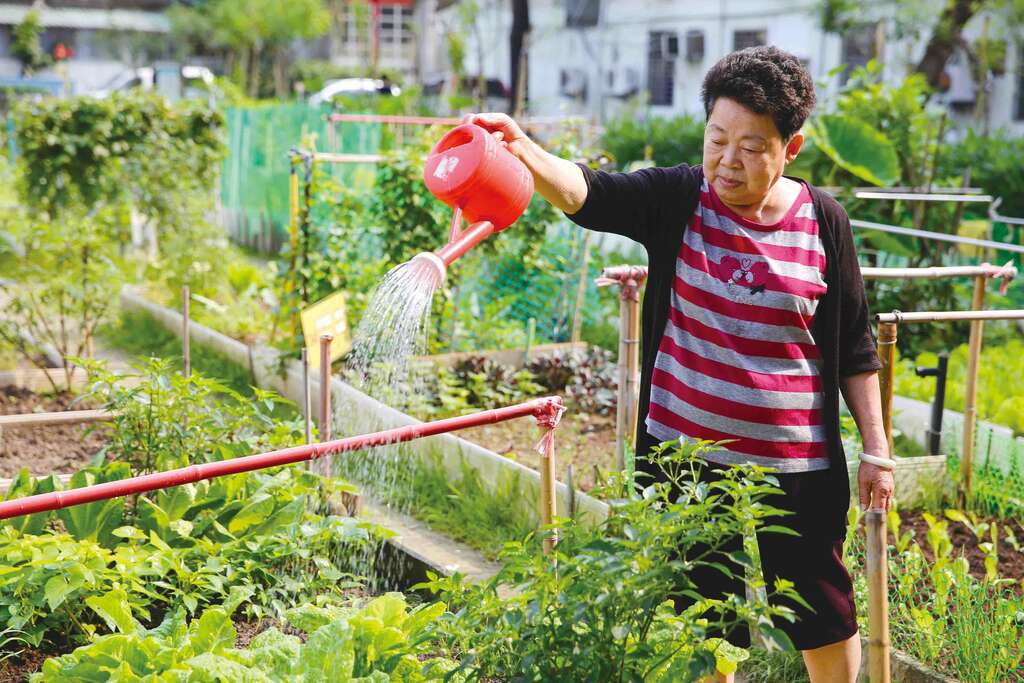 TAIPEI 2016夏季号 Vol.04—街に息づく緑の光 都市全体がわたしの菜園