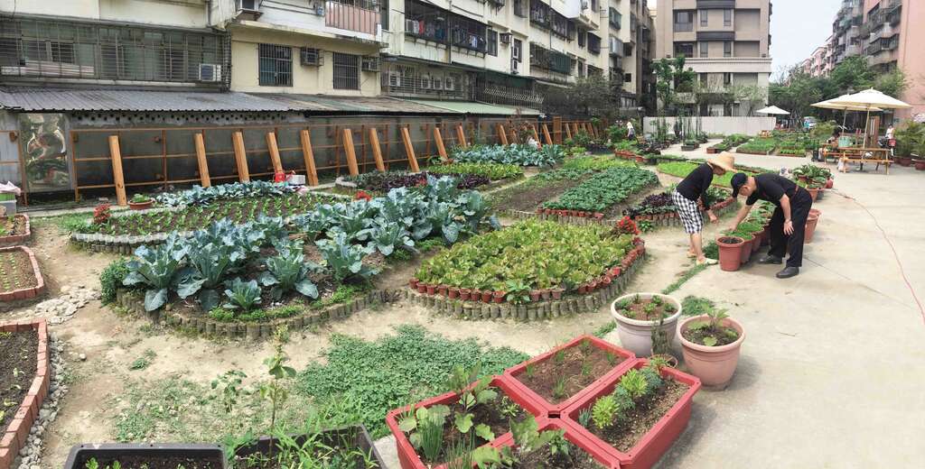 TAIPEI 2016夏季号 Vol.04—街に息づく緑の光 都市全体がわたしの菜園