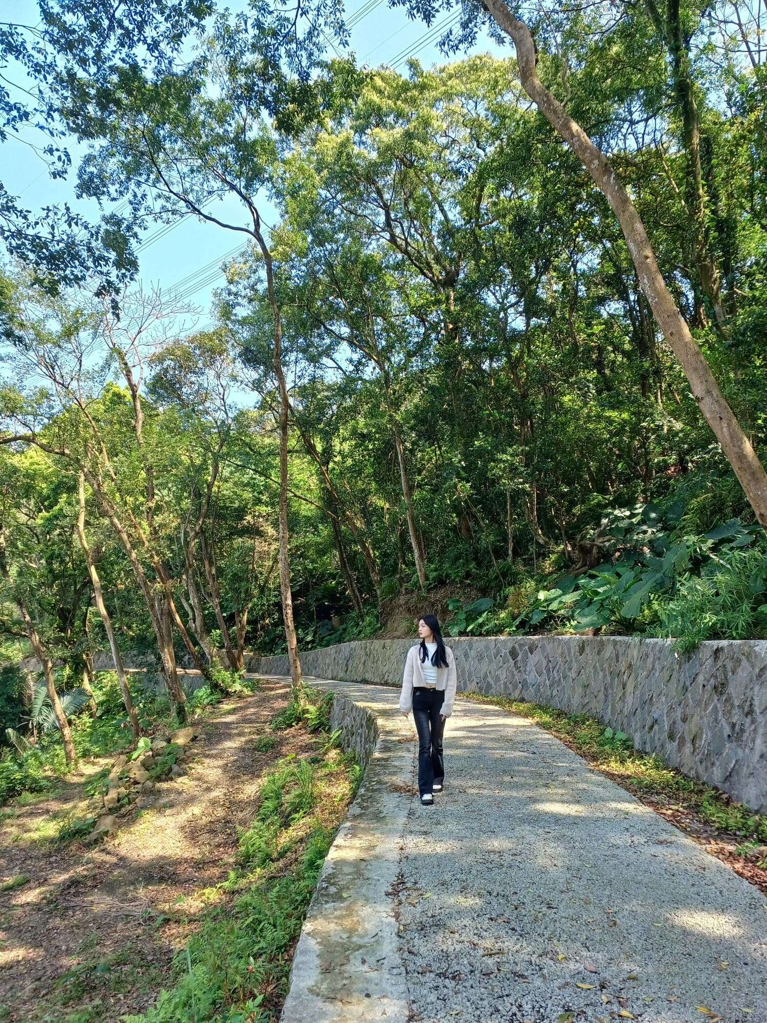 猫空水土保持园区步道，提供喜爱健行的朋友更多选择(图片来源：台北市政府工务局大地工程处)
