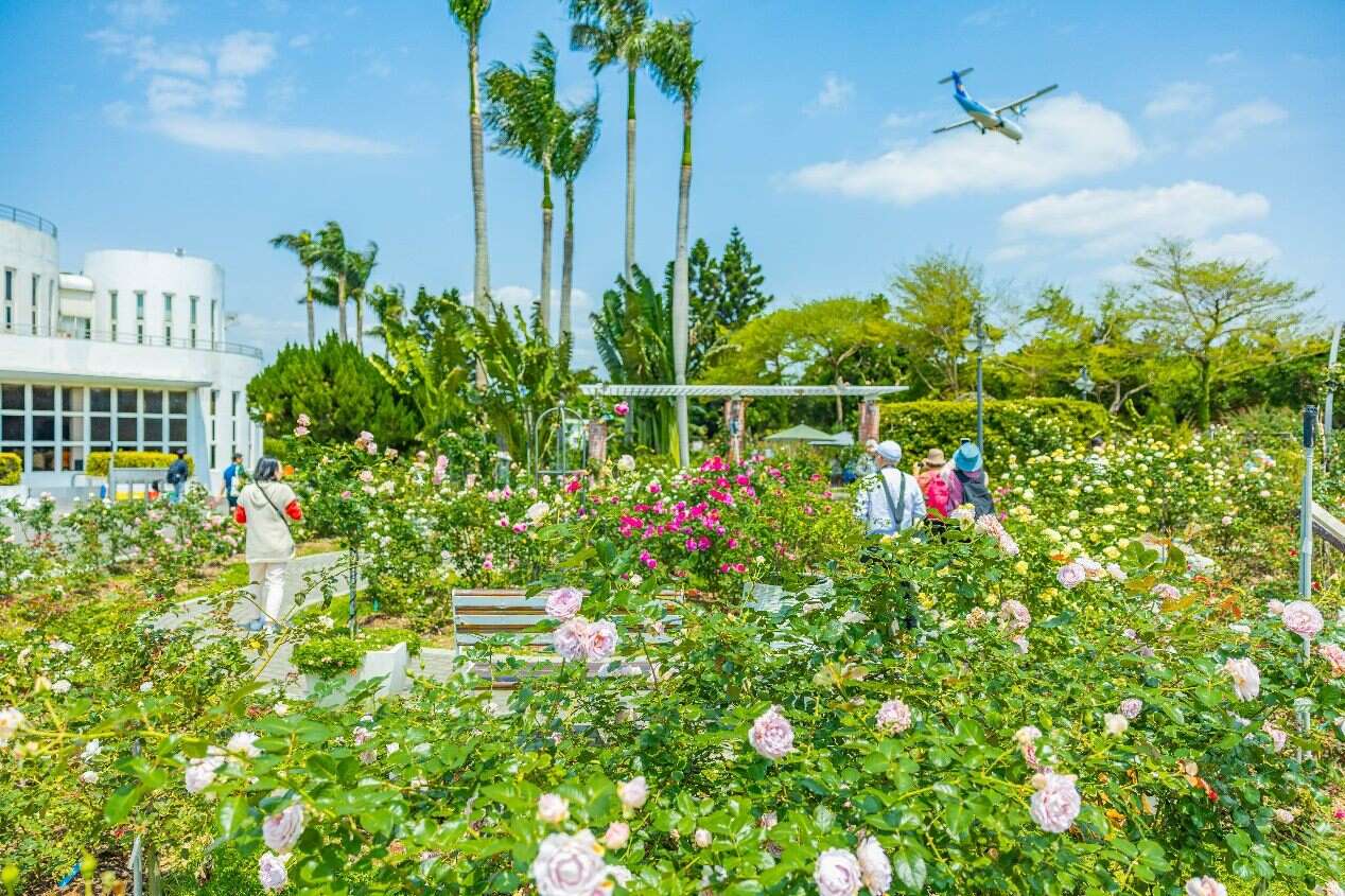 園區8成花開，五彩斑斕滿滿春意(圖片來源：臺北市政府工務局公園路燈工程管理處)