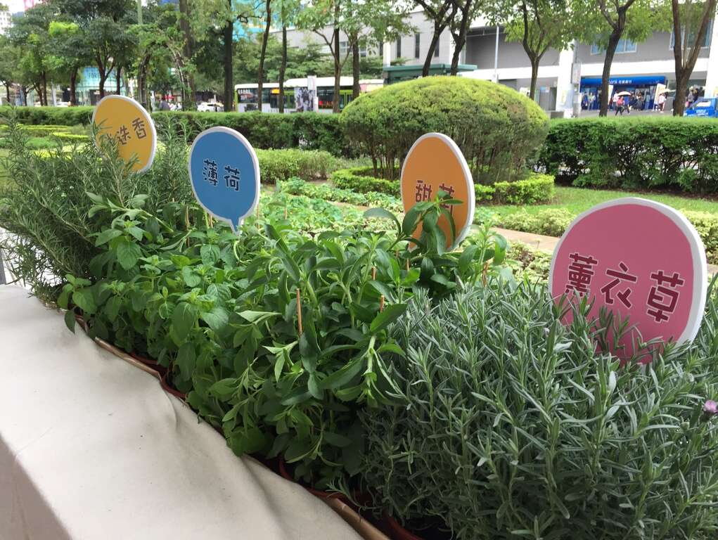 2016士林官邸菊展-田园城市成果